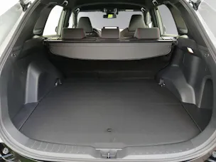 Toyota RAV4 2.5 Plug-In-Hybrid Trend