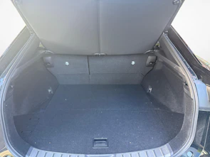 Fahrzeugbild LEXUS RZ 550e F Sport