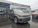 Hyundai Santa Fe 1.6 T-GDi HEV Amplia 4WD Automatic