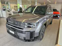 Hyundai Santa Fe 1.6 T-GDi PHEV Calligraphy 4WD