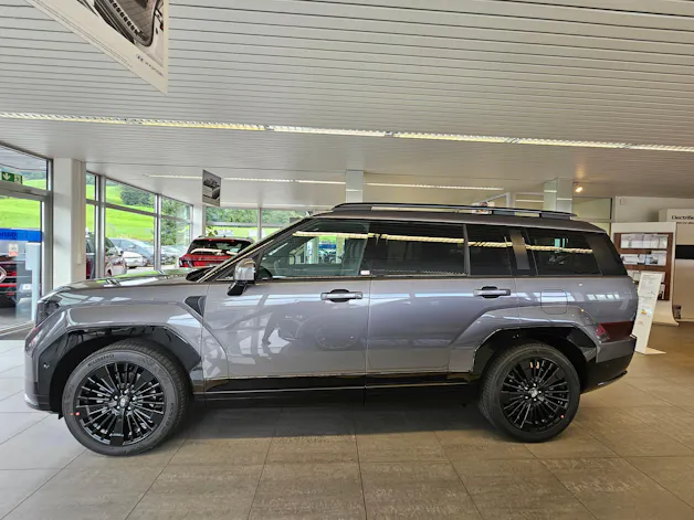 Hyundai Santa Fe 1.6 T-GDi PHEV Calligraphy 4WD