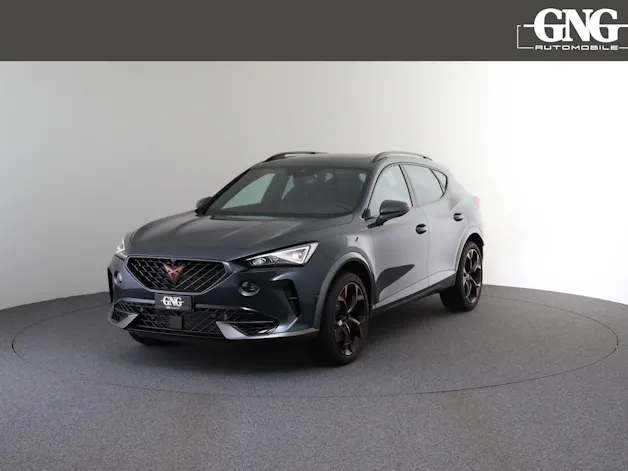 Cupra Formentor 2.0TSI VZ 4Drive DSG