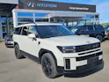 Hyundai Santa Fe 1.6 T-GDi HEV Calligraphy 4WD Automatic