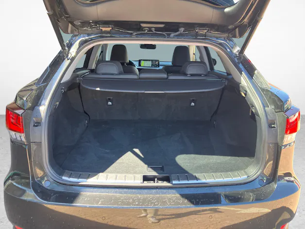 Lexus RX 300 Special Edition