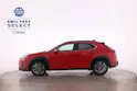 Lexus UX 250h F-Line