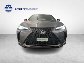 Fahrzeugbild LEXUS UX 250h F-Sport