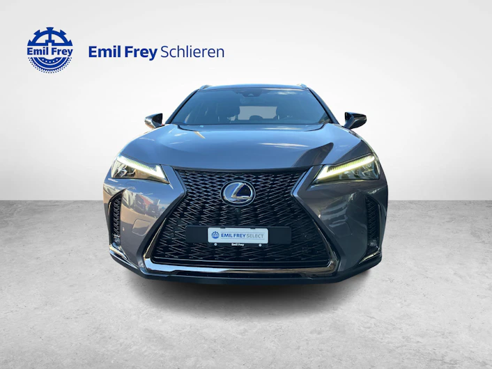 Fahrzeugbild LEXUS UX