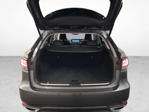 Lexus RX 300 Special Edition