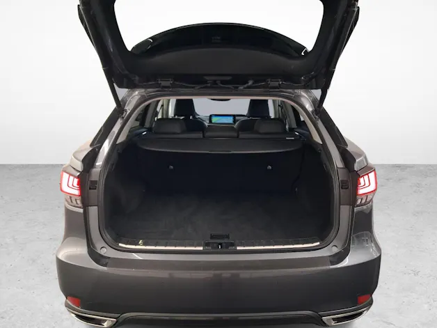 Lexus RX 300 Special Edition