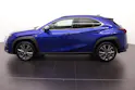 Lexus UX 250h F-Line