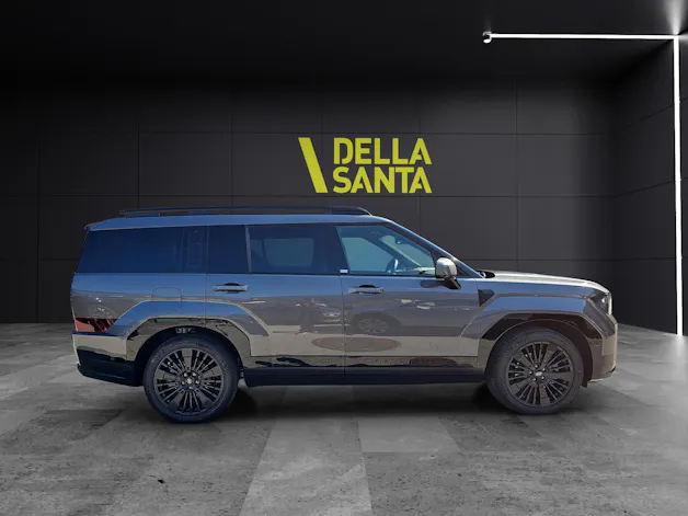 Hyundai Santa Fe 1.6 T-GDi PHEV Calligraphy
