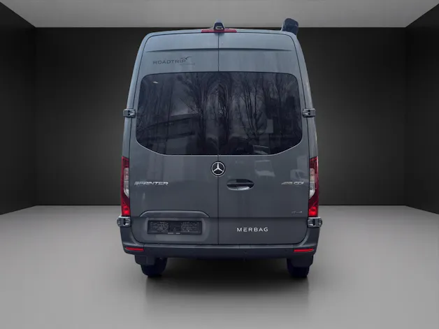 Mercedes-Benz 419 CDI Sprinter 4x4 Rogus Roadtrip