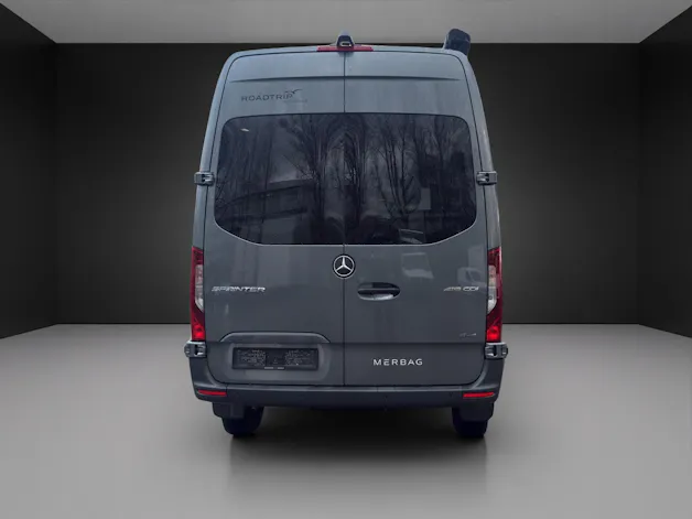 Mercedes-Benz 419 CDI Sprinter 4x4 Rogus Roadtrip