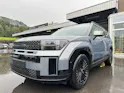 Hyundai Santa Fe 1.6 T-GDi HEV Calligraphy 4WD Automatic