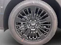 Hyundai Santa Fe 1.6 T-GDi HEV Calligraphy 7 Sitze