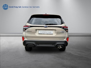 Vehicle image SUBARU Forester Station 2.0i e-Boxer Luxury