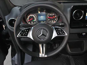 Mercedes-Benz Sprinter 319 CDI Pro CH 3665 S