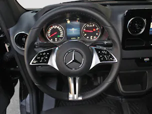 MERCEDES-BENZ Sprinter 319 CDI Pro CH 3665 S