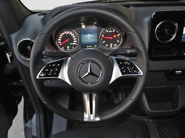 MERCEDES-BENZ Sprinter 319 CDI Pro CH 3665 S