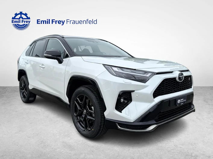 Fahrzeugbild TOYOTA RAV-4