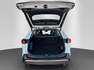 Toyota RAV4 2.5 HEV Trend
