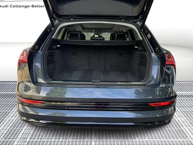 Audi e-tron 55 Advanced quattro