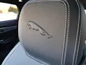 Jaguar F-Pace P250 R-Dynamic SE 4x4 (crochet)