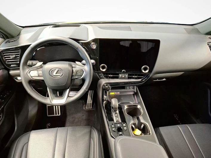 Fahrzeugbild LEXUS NX