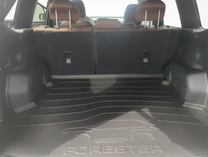 Fahrzeugbild SUBARU Forester Station 2.0i e-Boxer Luxury