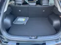 Kia Niro EV Edition 30