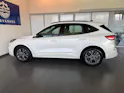 Ford Kuga 2.0 EcoBlue ST-Line