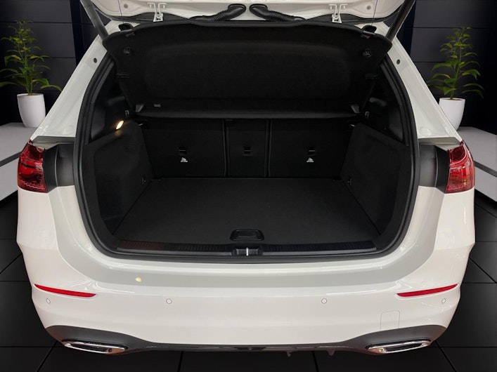 Vehicle image MERCEDES-BENZ B 220