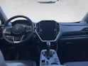 Subaru Crosstrek 2.0i e-Boxer Luxury