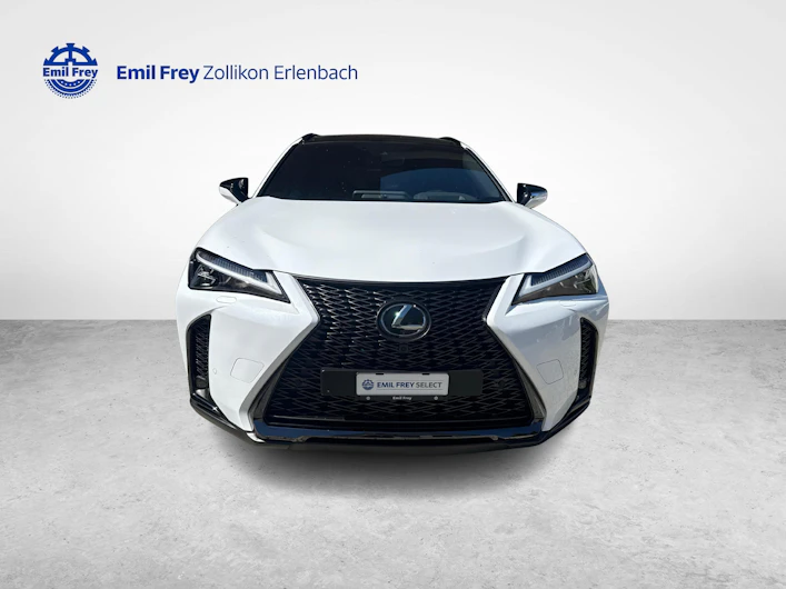 Fahrzeugbild LEXUS UX