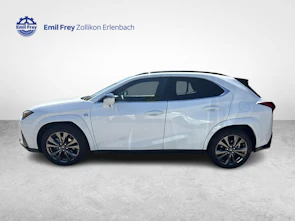 Fahrzeugbild LEXUS UX 250h F-Sport