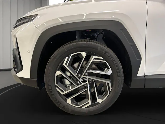 Hyundai Tucson 1.6 T-GDi HEV Vertex Swiss Edition 4WD