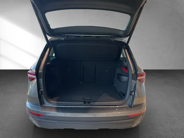 Škoda SKODA Karoq Dynamic