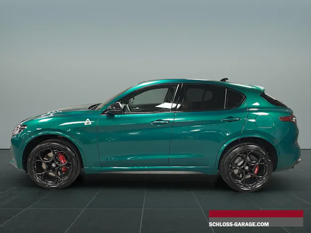 Alfa Romeo STELVIO 2.9 V6 Biturbo Q4 Q