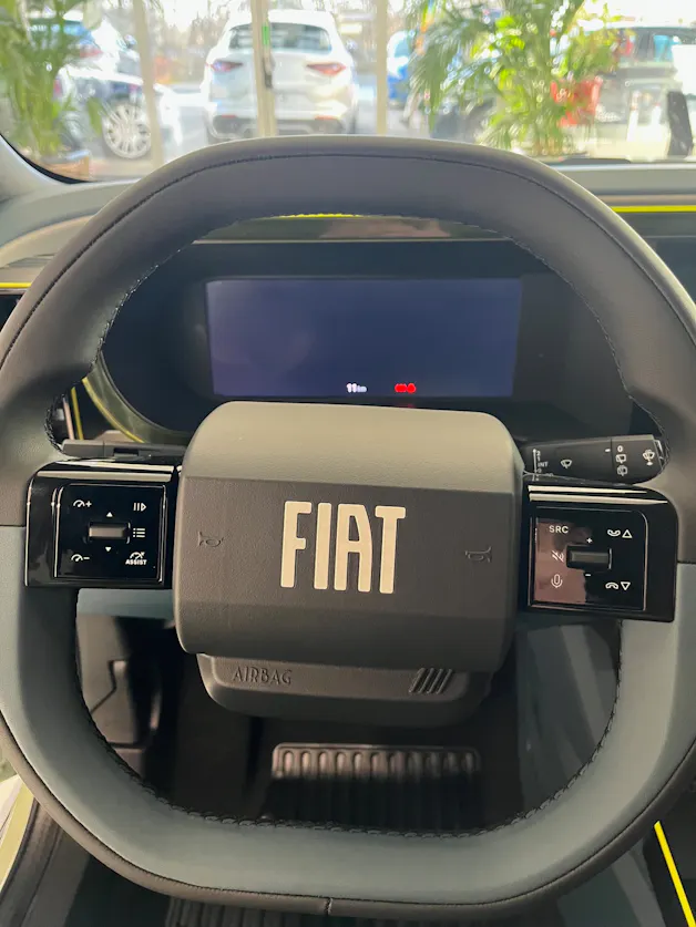 Fiat Grande Panda Icon
