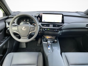 immagine del veicolo LEXUS UX 300h F-Line