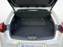 Lexus UX 300h F-Line