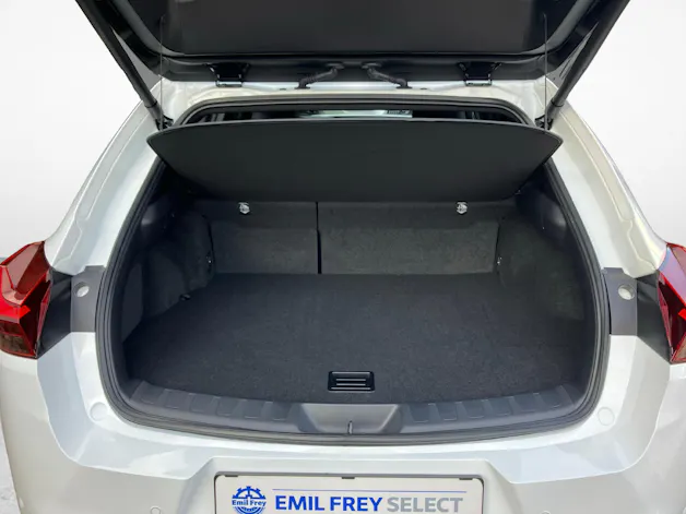 Lexus UX 300h F-Line