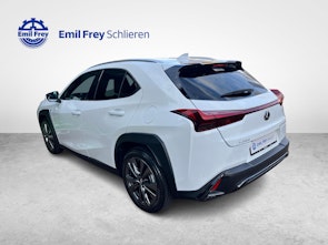 immagine del veicolo LEXUS UX 300h F-Line