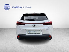 immagine del veicolo LEXUS UX 250h Excellence