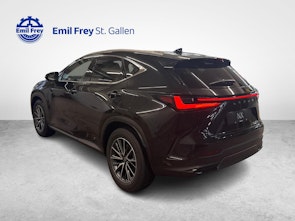 Vehicle image LEXUS NX 450h+ Comfort