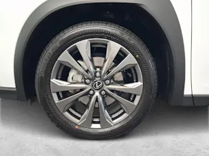 Lexus UX 300h F-Line