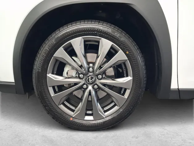 Lexus UX 300h F-Line