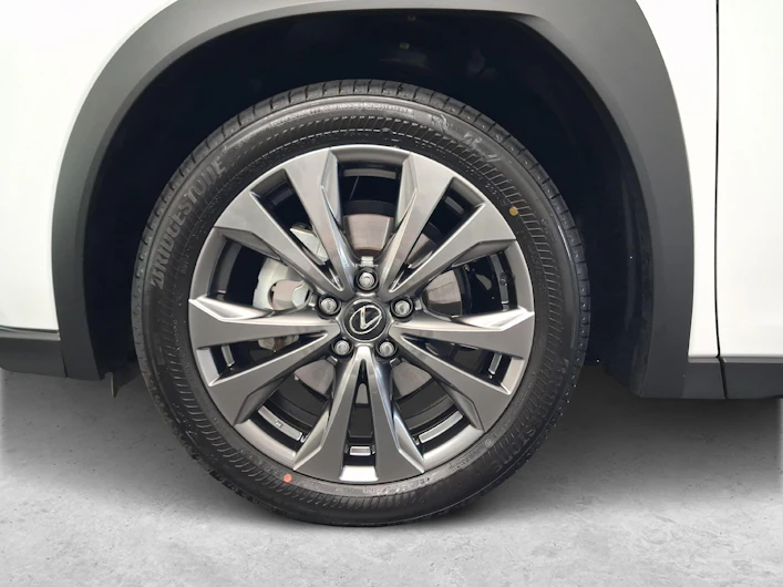 Fahrzeugbild LEXUS UX