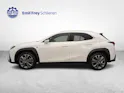 Lexus UX 300h F-Line