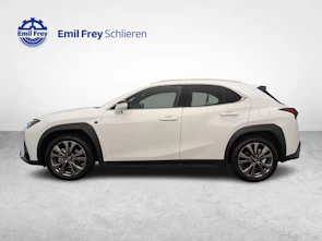 Fahrzeugbild LEXUS UX 300h F-Line